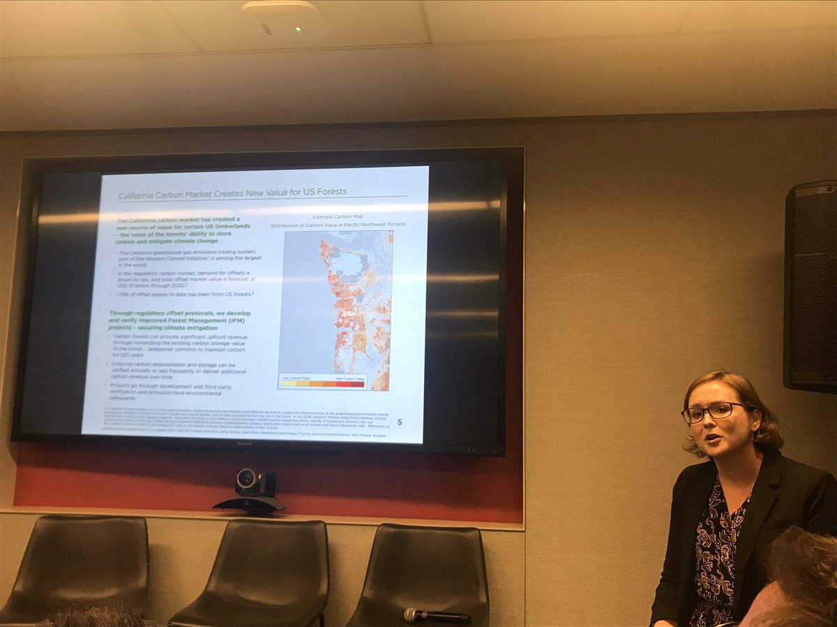 CarazoFel's tweet photo. #NewForest

“We target high carbon value timberlands where we can add to total return through carbon forestry and timber management” - MaryKate Bullen 

@NewForests 
#QuantumLeap https://t.co/CB8kA7Dwf7