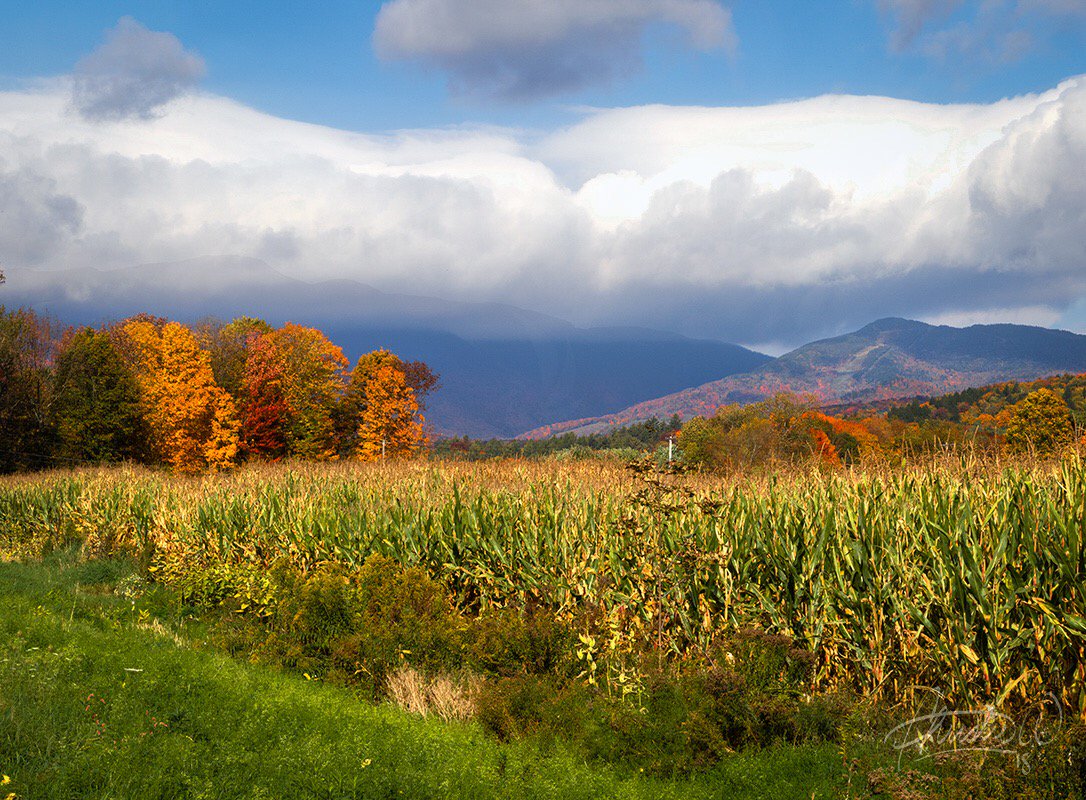 peaceofnaturecw's tweet photo. A bright, sunny autumn view of Stowe Mountain Resort in Vermont taken last fall.
-
Peace of Nature Photography | 2018
-
#fallishere #autumn #vermont #stowe #mountmansfield #ilovermont #getyourfallon #naturelovers #naturephotography https://t.co/P89WpoKkP2
