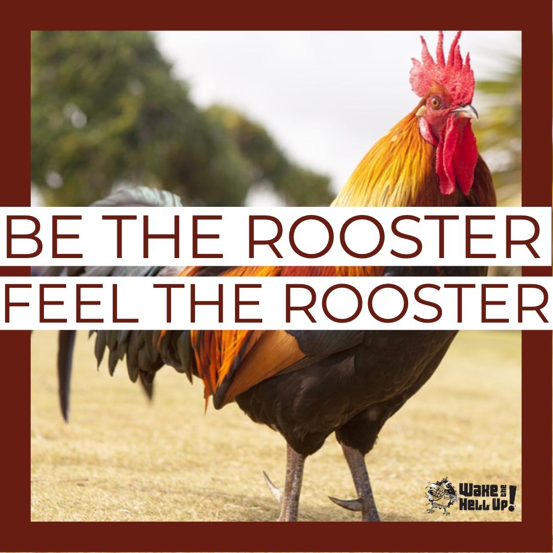 Wake The Hell Up Coffee tweet media