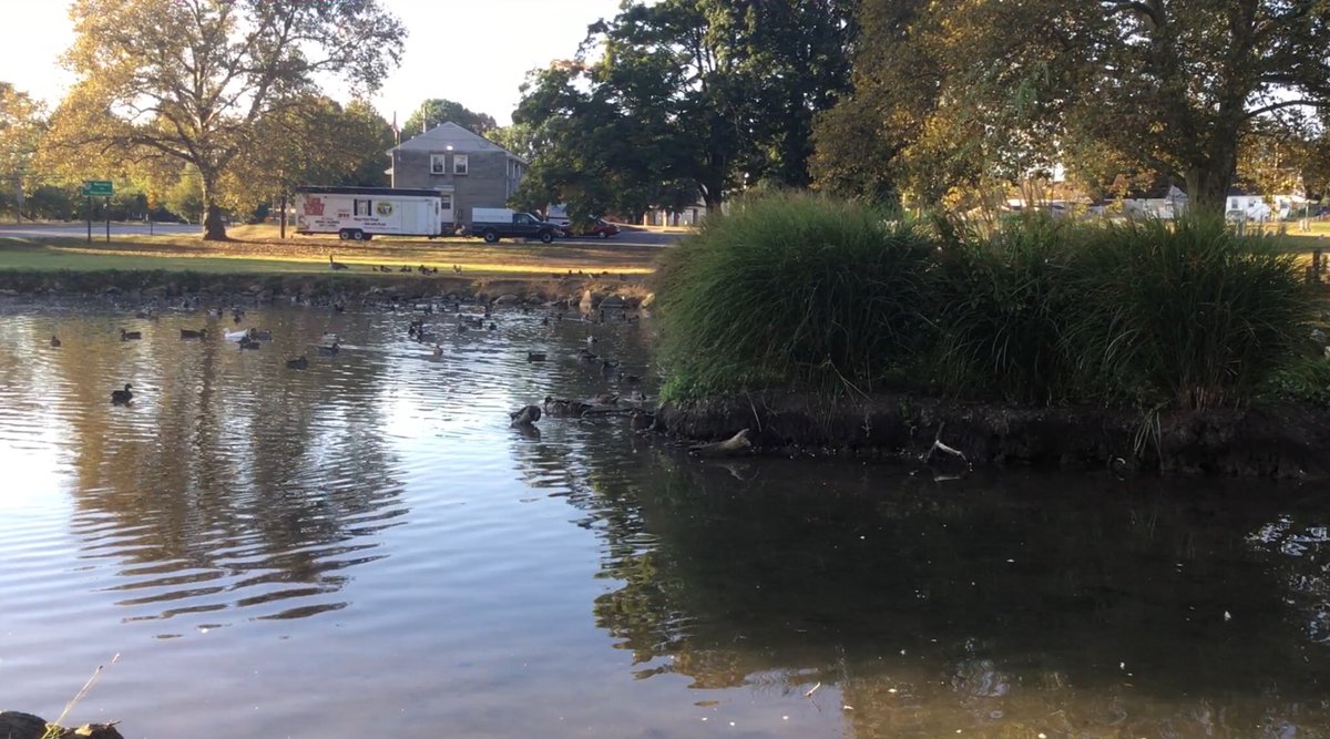 4s went outside today to make observations and develop questions about the pond.  Looking forward to developing investigations around these questions! #FDELearns <a href="/EllistarTara/">Tara Ellis</a> <a href="/FountaindaleES/">Fountaindale</a> <a href="/erikvreeland/">Erik Vreeland</a>