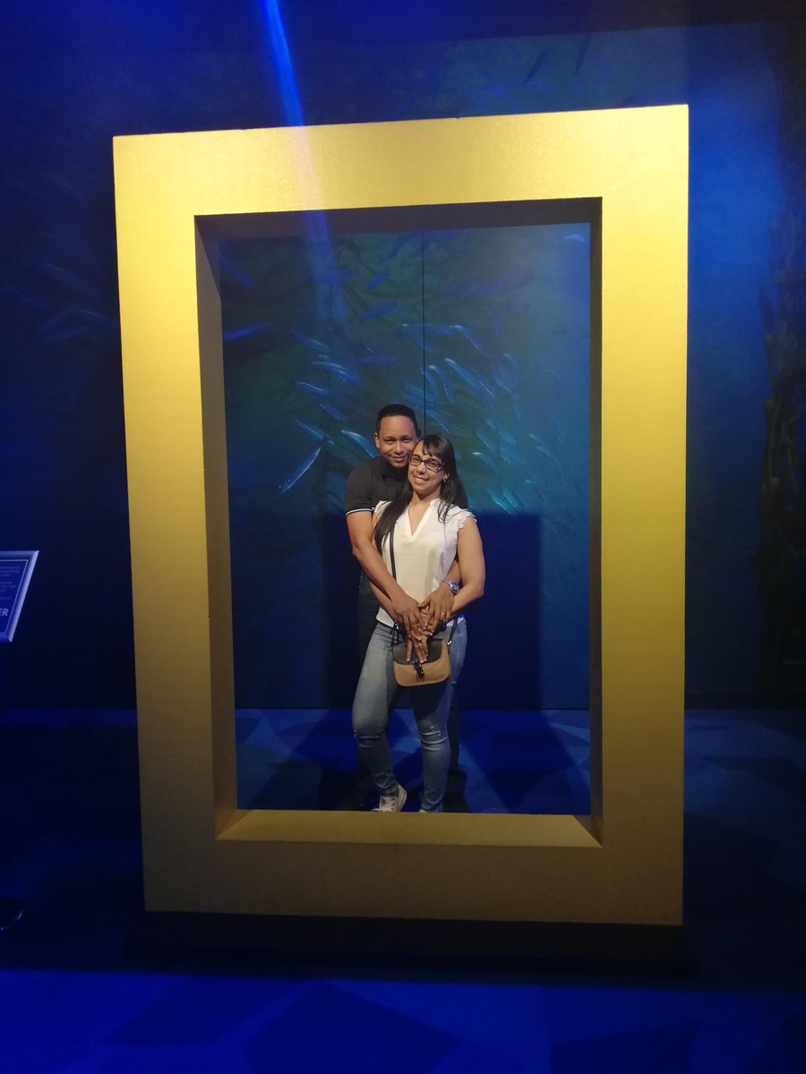 LicNoely's tweet photo. #OceanOdyssey ❤️ https://t.co/mWPlCmJi8H