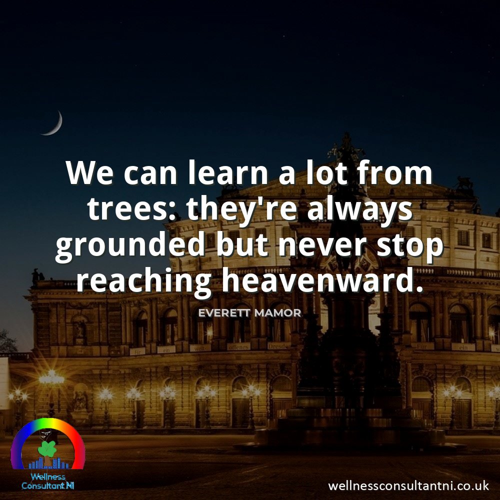 Wellness Consultant tweet media