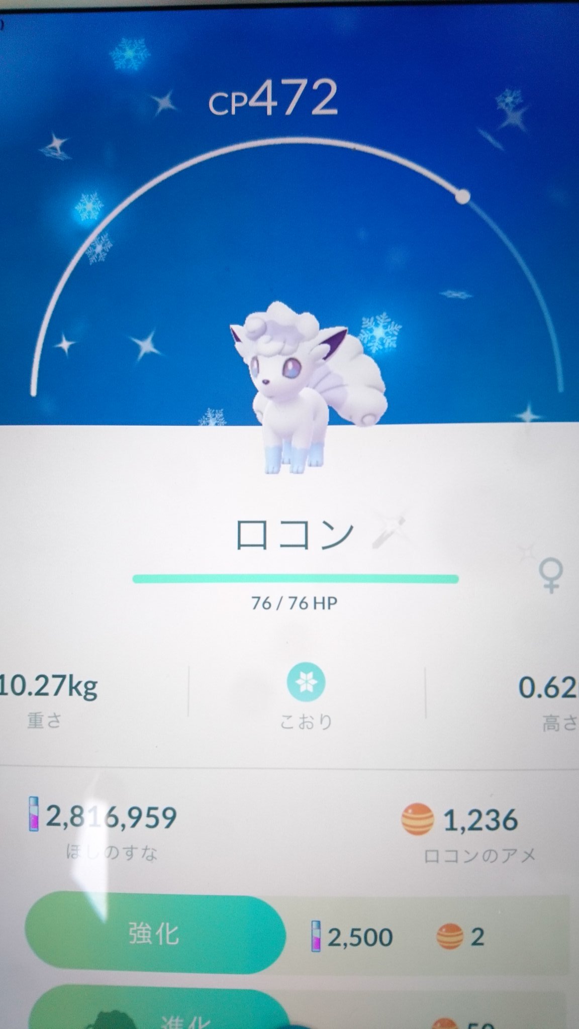 アローラポケモン Twitter Search Twitter