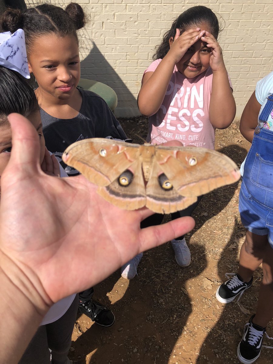 Ryann Moore tweet media