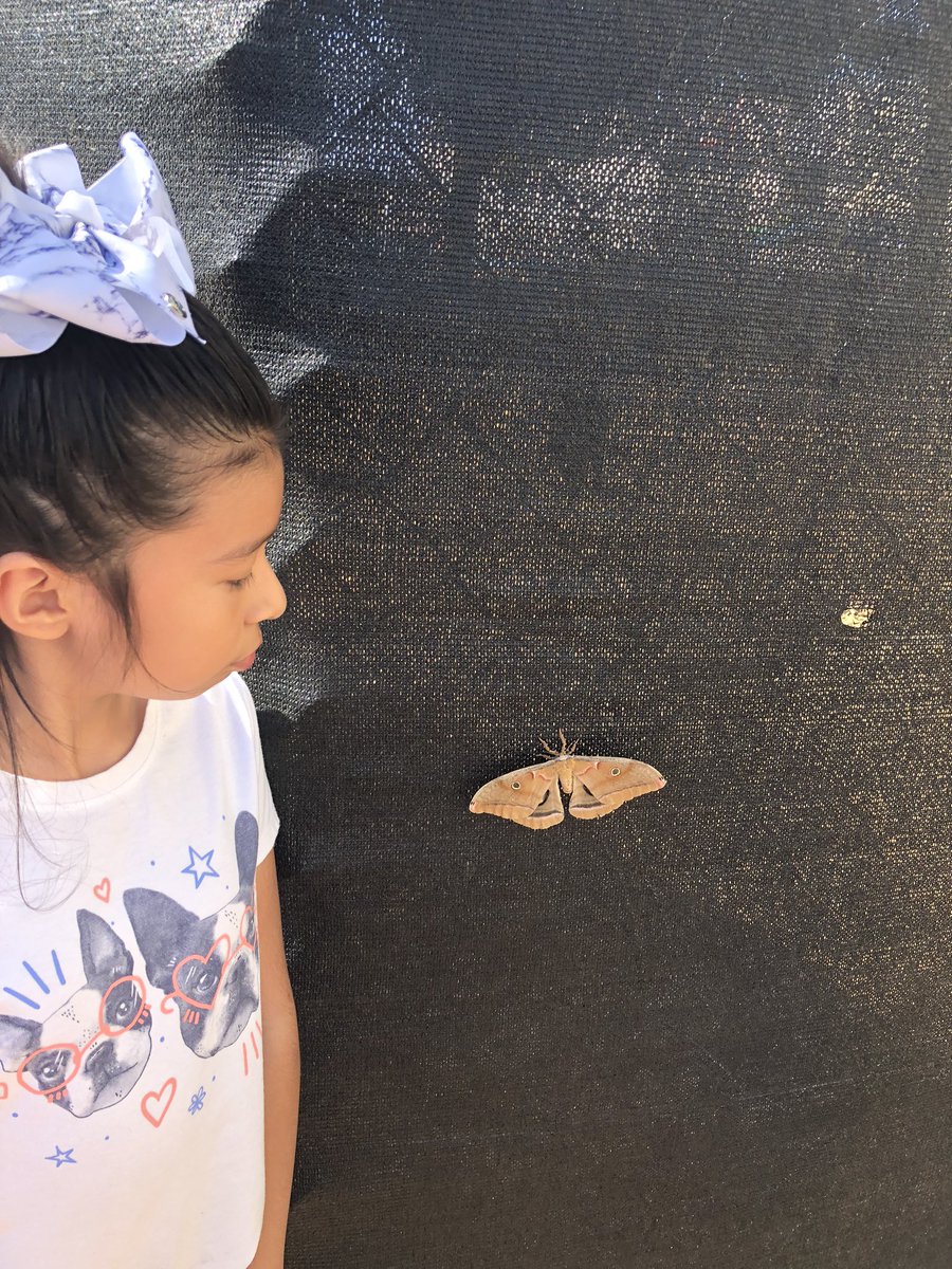 Ryann Moore tweet media