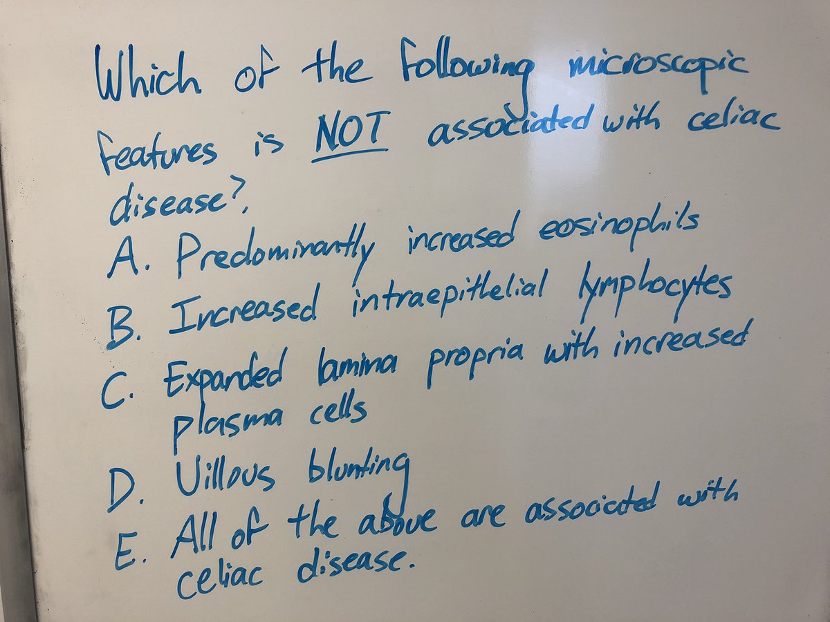 JasmineSaleh's tweet image. #HallwayQuiz #SurgPath #BoardStudy
