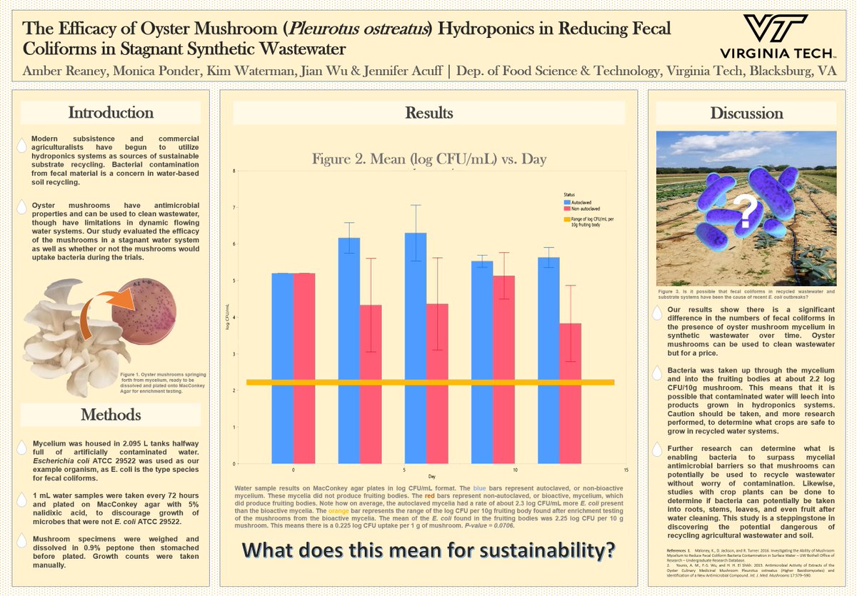 mycobuff's tweet photo. mark your calendars! i'll be giving a brief talk on my @VTFoodScience summer fellowship research at the @500wsBlacksburg science on tap @ Rising Silo Brewery on 10/24!! my poster won't be there but my mushrooms will be :) 🍄🍻 https://t.co/bHTebeFrTA