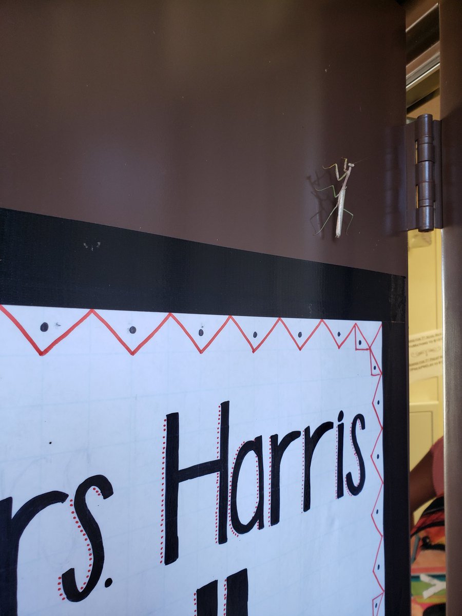 Danielle Harris tweet media