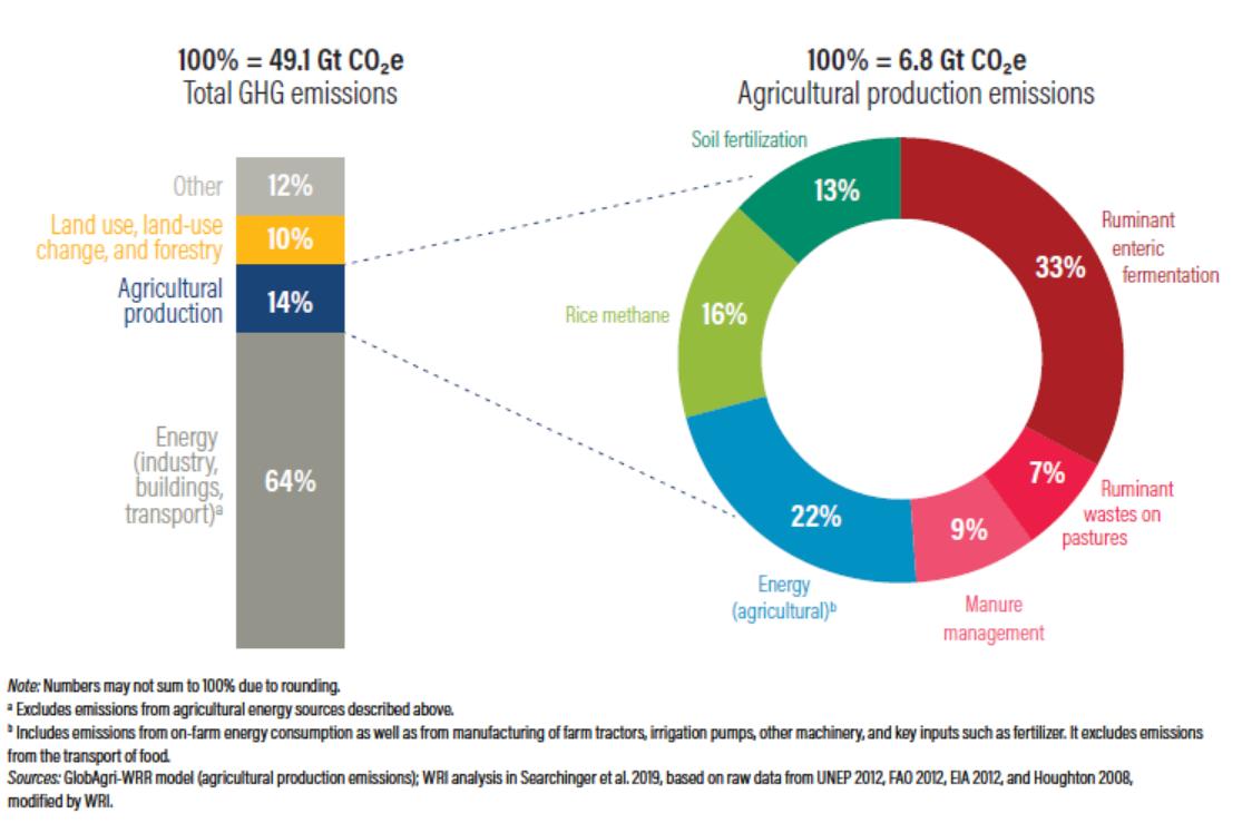 In recent years, agriculture and associated land-use change have been responsible for roughly a quarter of total annual GHG emissions from all sectors. The data below are from 2010 (Source:  http://www.sustainablefoodfuture.org ). 2/
