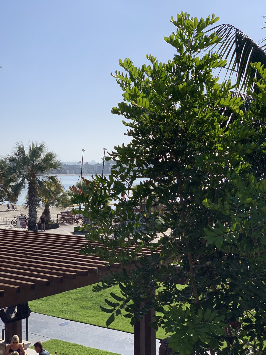ilkayaltintas's tweet photo. @escience 2019 starts with workshops today at the Catamaran in San Diego. #escience2019 https://t.co/2RatnWcTI2 https://t.co/MWrEmN5CCP