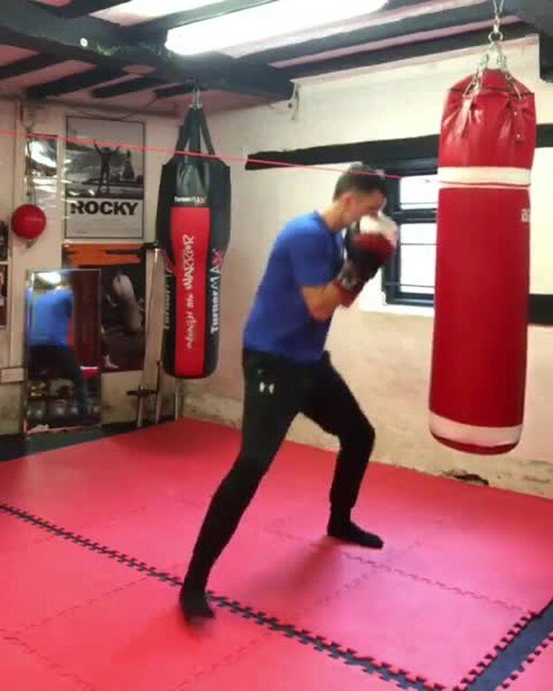 beast gear boxing gloves