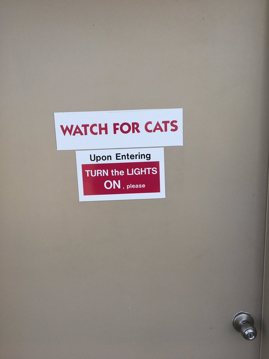 ComOptAshley's tweet image. This is the highlight of my morning. I had to watch out for the 5 cats running the show. #AlwaysAdvocating