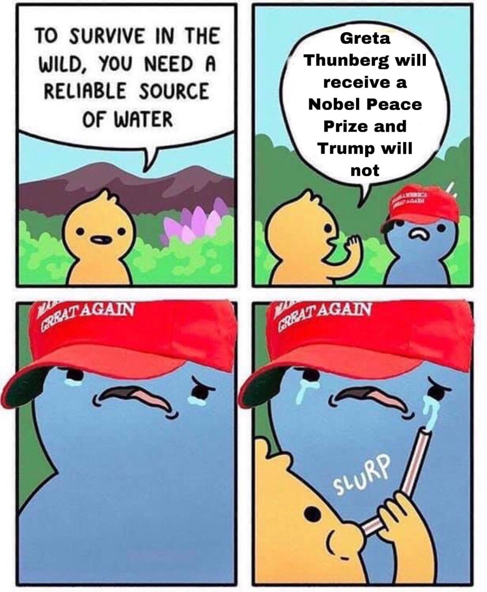 NiceManTotes's tweet image. #GretaThunbergOutdidTrump #GretaThunberg