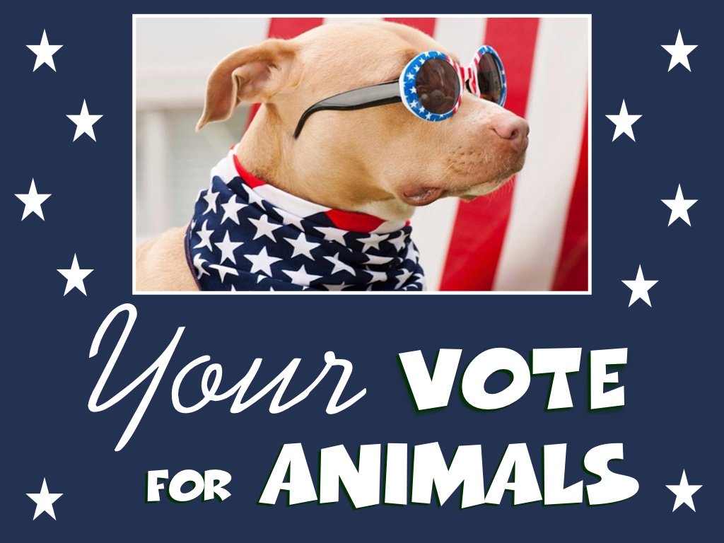 RT post to CELEBRATE National Voter Registration Day!

olvr.ohiosos.gov If you need to register to VOTE or have changed your name or address since you last voted, you can do this online at the above link.

October 7, 2019 is the last day to register to VOTE in November.
