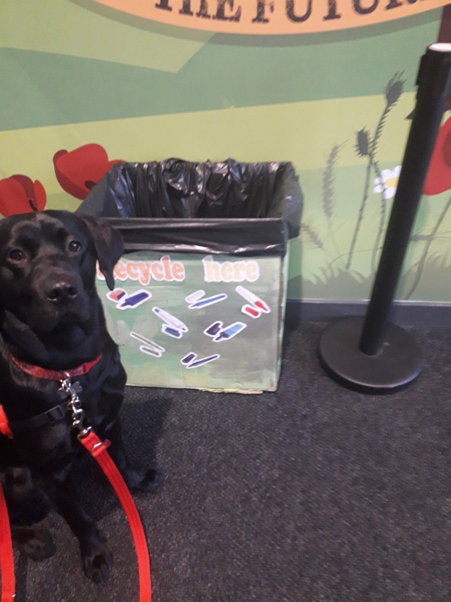 Robbie_Inspire's tweet image. 🚮♻️Great work eco-committee♻️🚮 #NationalRecyclingWeek #RecycleWeek2019
#ReduceReuseRecycle @Inspire_Ashton @PastoralInspir1