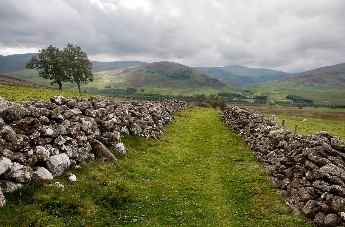 iankennUK's tweet photo. An auld path in Tarfside. #Tarfside #GlenEsk #Angus #Scotland @EarthPix @ThePhotoHour @PicBallot @StormHour @PhotographyWx @EarthandClouds #travelphotography https://t.co/kbUuiPo34N