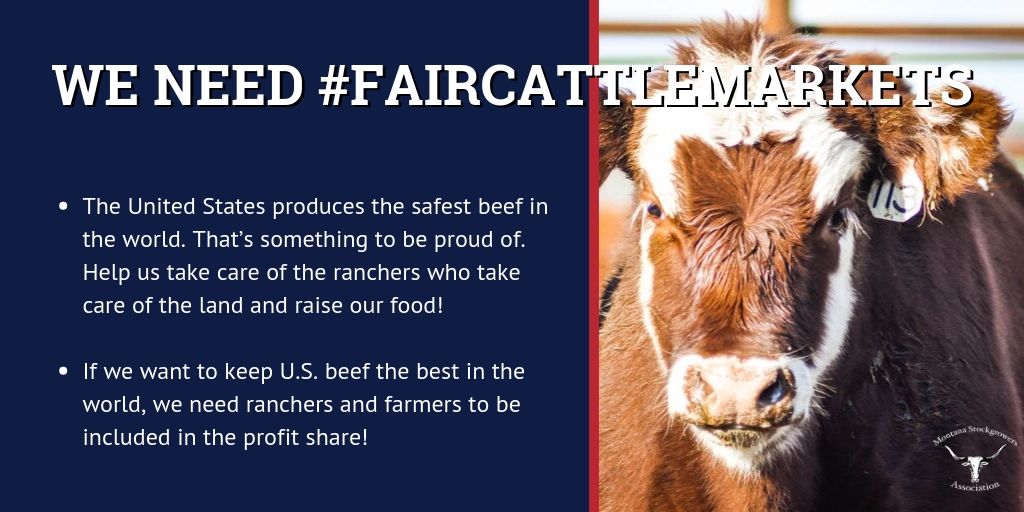 MTStockgrowers's tweet image. Dear @realDonaldTrump

MSGA represents over 2,000 ranchers in what is the 7th largest cow-calf producing state in the U.S. As advocates for MT ranchers, we're asking for your help to achieve #FairCattleMarkets.

Retweet/favorite this tweet to catch @realDonaldTrump’s attention!