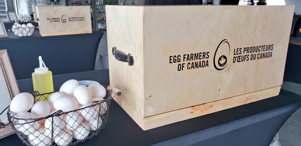 eggsoeufs's tweet photo. The black box cooking challenge with @CHEF_LYNN is about to get underway. We're looking foward to seeing (and tasting) what the chefs cook up. #ChefToFarm https://t.co/GghiuLxdHN