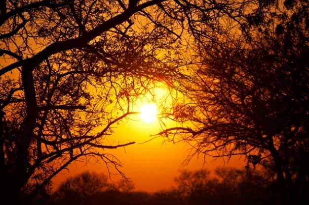 MarchewkaFranck's tweet photo. Lever de soleil dans le parc du Pendjari benin https://t.co/MEFDqj6uw2