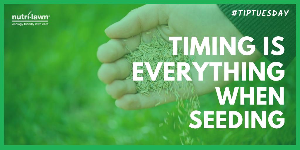 NutriLawn's tweet image. #TipTuesday // Late summer and early #fall are optimal times to lay down new #seed!  Seeding in fall gives the new seed plenty of time to germinate and fully establish before heavy frosts and cold winter temperatures come to town. 🍁

Our free Fall eBook: hubs.ly/H0kWRVF0