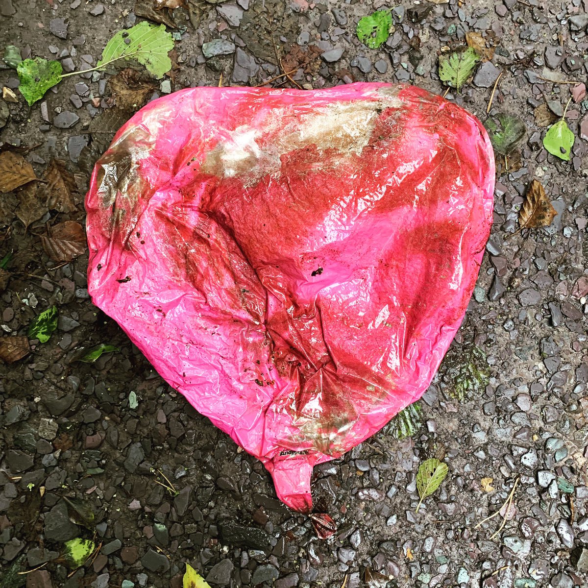 EnvMentalMummy's tweet image. Just fished out of a stream. 
#Helium balloons are a huge #environmentalissue both in terms of litter and a danger to animals. Helium is also a decreasing resource, hence the extortionate prices. Please try to find an alternative to these balloons or just save your pennies!