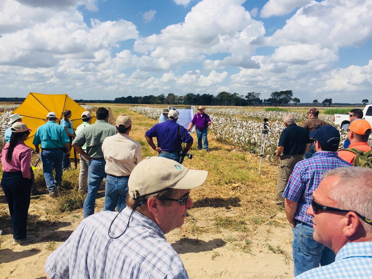 ⁦@LSUAgCenter⁩ Row crop field day for conservation demonstration #TaylorFoundation meeting ⁦