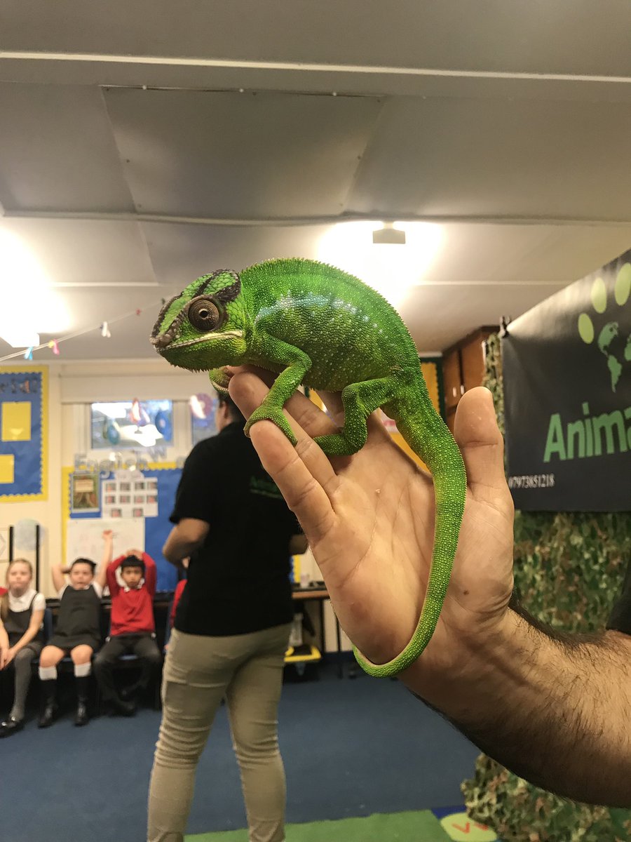 St Andrew's Leas tweet media