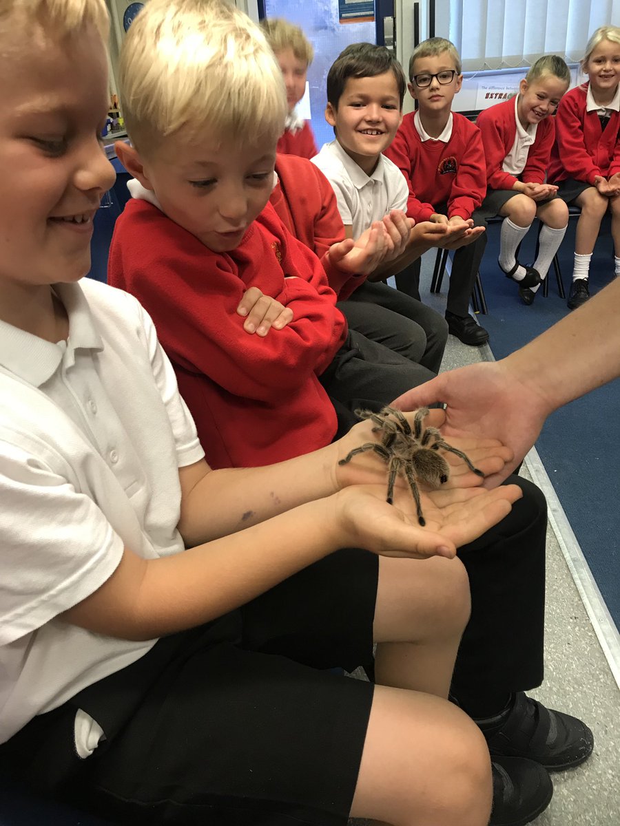 St Andrew's Leas tweet media