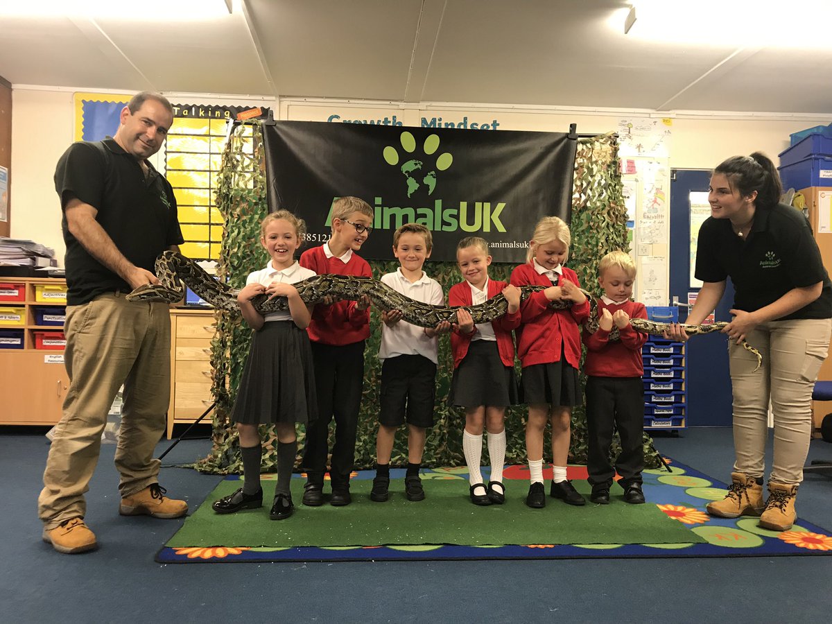 St Andrew's Leas tweet media