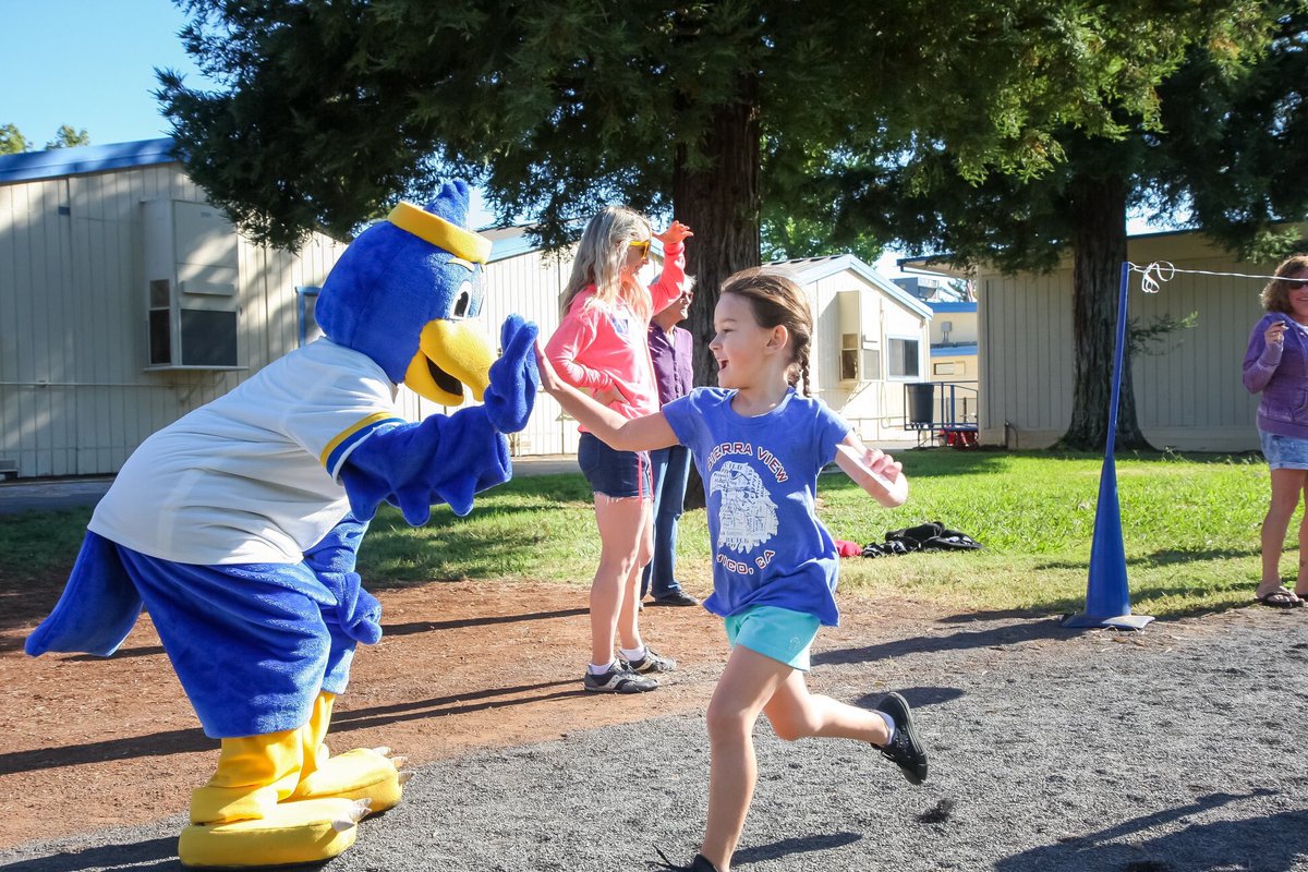 SierraViewElem's tweet photo. Sierra View put their running shoes on and had an awesome Jogathon. It was a perfect day! #sierraviewrocks #SoaRWithUs #happykids @ChicoUSD https://t.co/5ITAPmeqhy