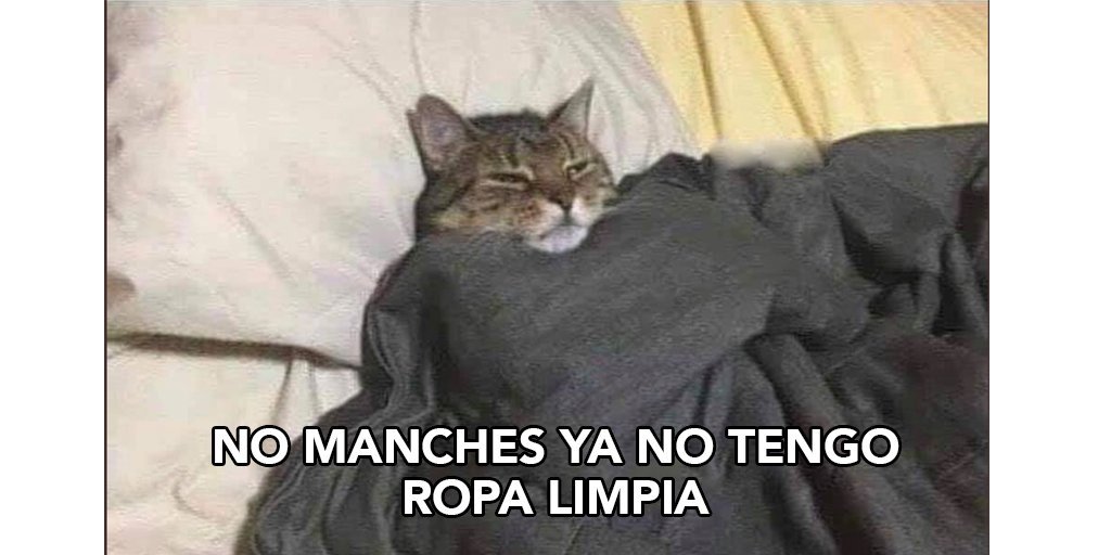 LavanderiApp tweet media