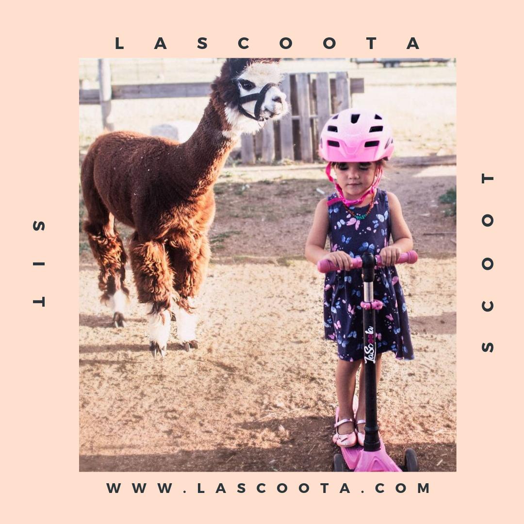 LaScoota tweet media