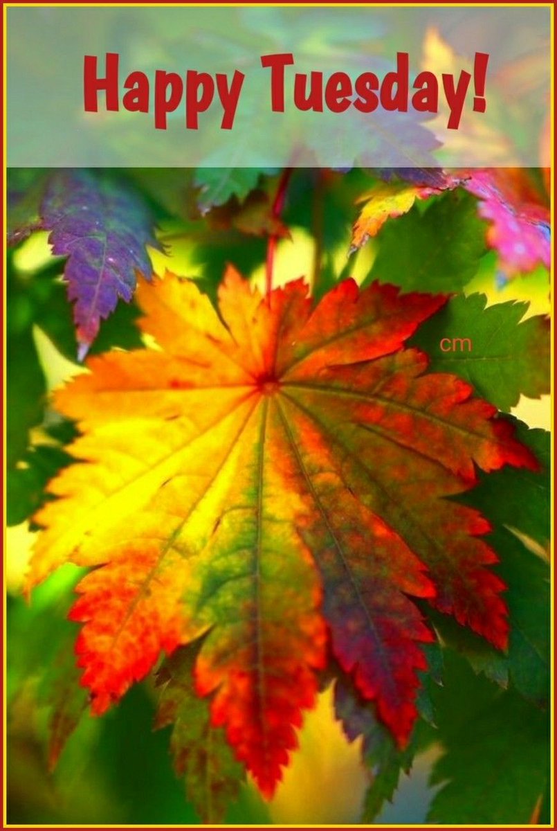 99.5 KADI tweet media
