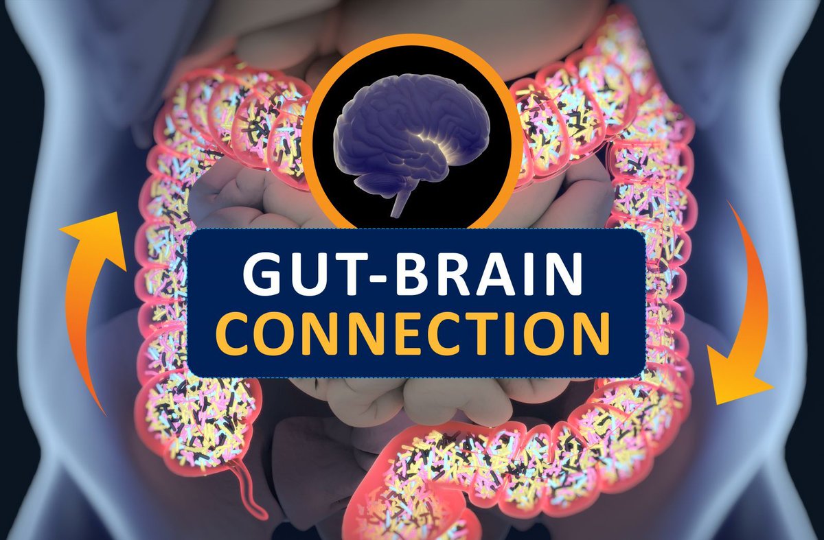 Pay attention to your gut-brain connection—it may contribute to your anxiety and digestion problems. bit.ly/2l4Y123  #HarvardHealth #nutrition #mentalhealth