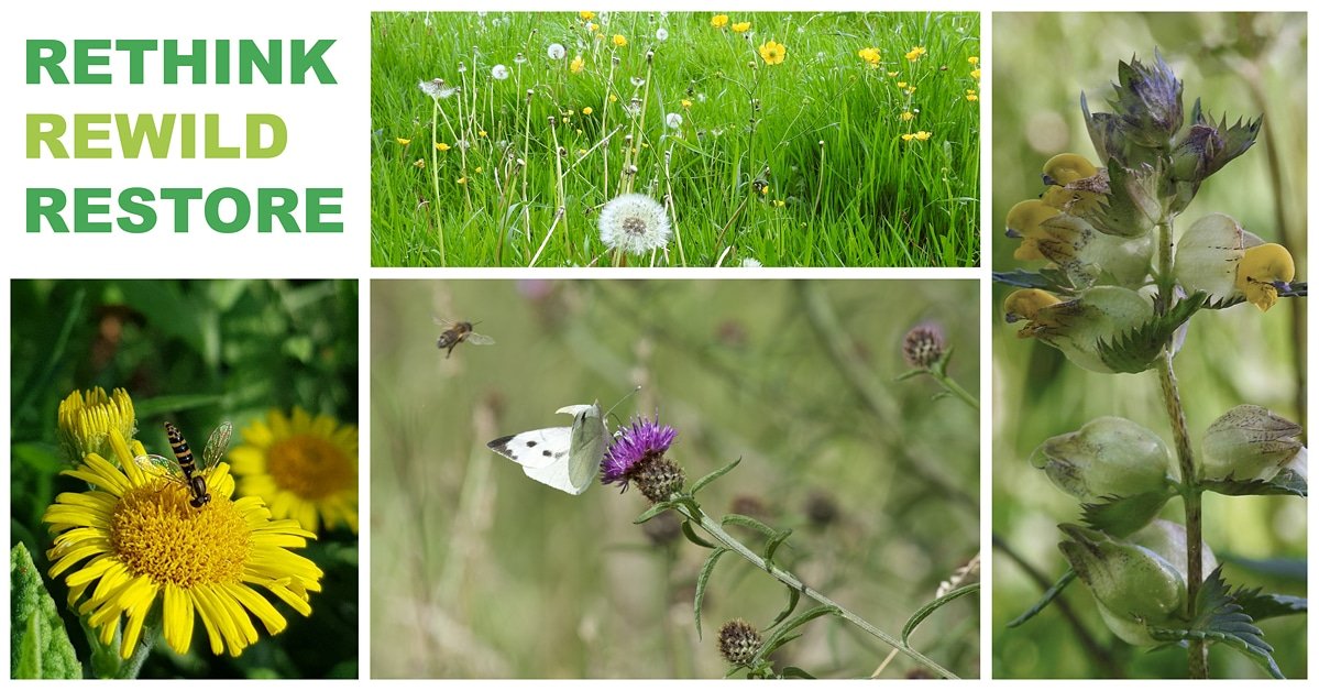As part of #battlefestival our photo exhibition will be in Battle Library for the whole of October!