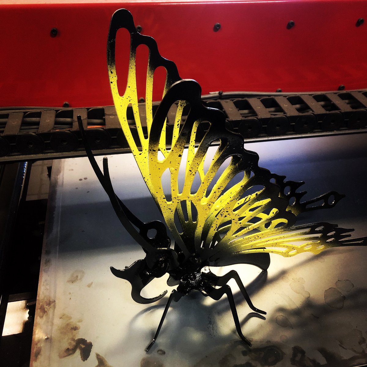 AgMechAtwell's tweet photo. Awesome butterfly we cut out with the plasma table. Thanks to mikayla Tripp and Cameron for the awesome paint job and hogan and Tripp for tacking it up https://t.co/7YPyLMzHJ8