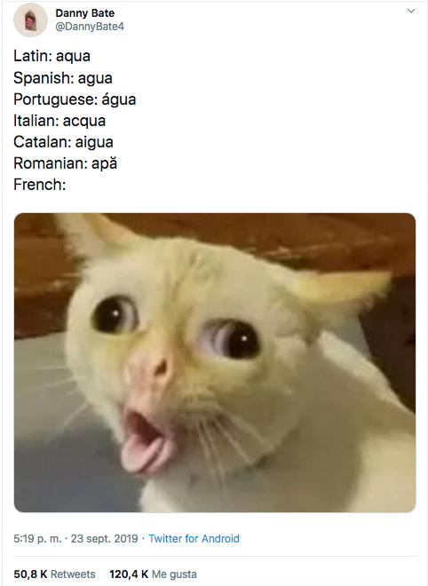 meme gatito cómo pronunciar agua en francés