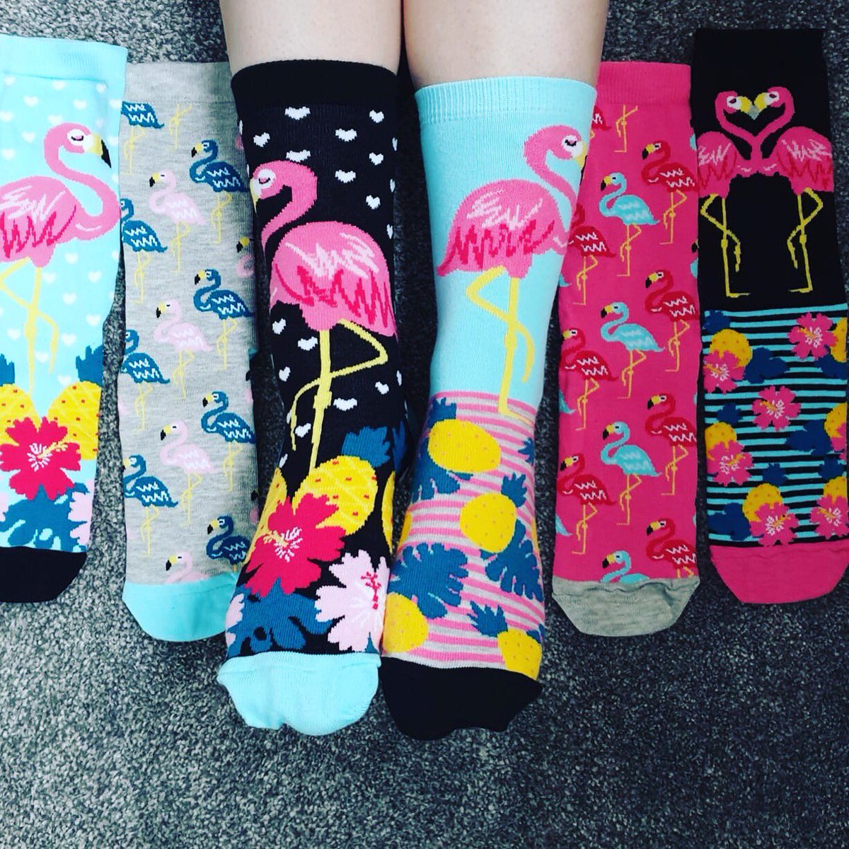 CatsWhisker6's tweet photo. Well the weather has definitely taken a turn for the worst ⛈🌨🌩🌧
I have managed to bring a little cheer to my day with these gorgeous Flamingo #oddsocks
Mix and match them for a new look each time you wear them 😊
#socks #ladiessocks #menssocks
https://t.co/eJ5kYQdcOe… https://t.co/GRRB2Ydeb2