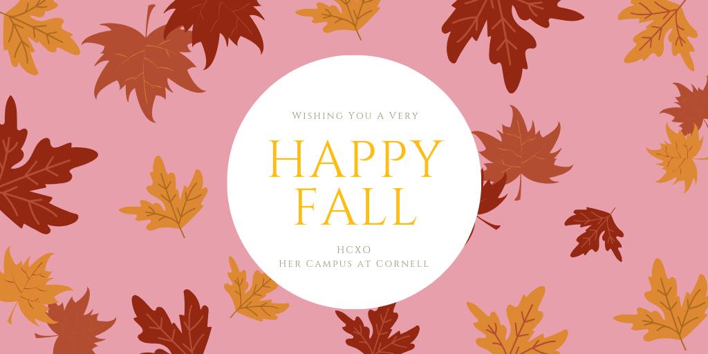 🍂🍂🍂🍂