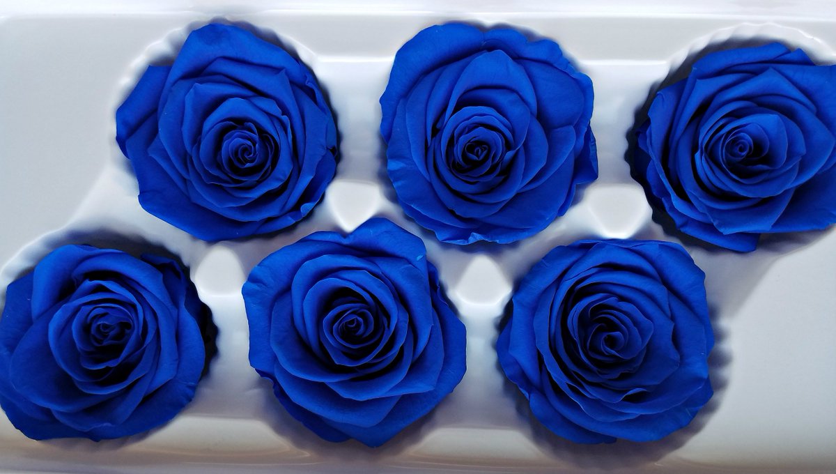 Blue preserved roses etsy.me/2kWbhWM #weddings #decoration #bridalshower  #military #royalbluerose #bluerose #Militarywedding #eventflowers #bluepreservedrose #diyflowers #flowercrafts #florist #floralsupplies