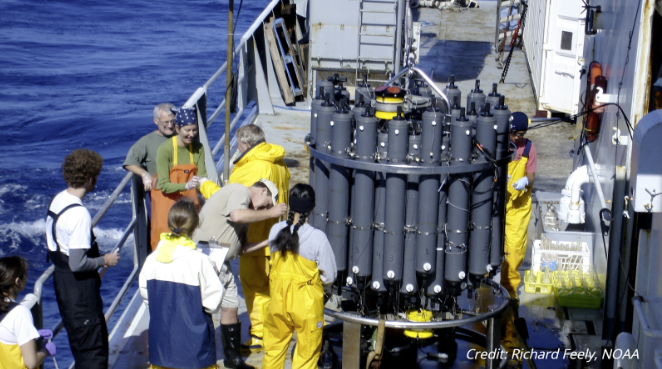 NOAANCEIocngeo's tweet photo. An international team of researchers from @NOAA and other organizations finds CO2 levels in the ocean from atmospheric emissions are on the rise. https://t.co/mF2AOMiYdk #DataDiscoveryMonth #WeGotTheData https://t.co/815Mok0jE1
