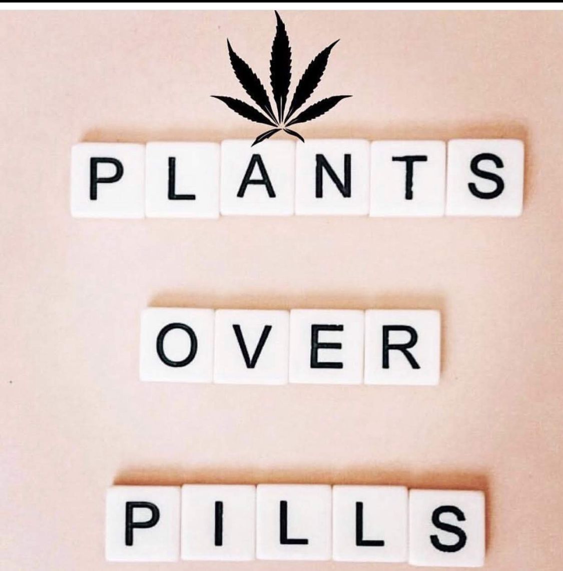 RockstarCBDoil's tweet photo. If you have been sitting on the fence about CBD...don't wait a minute longer....The Pioneers become the Millionaires. Google CBD and your symptoms and you will see there is a goldmine sitting right in front of you and best of all you are helping others Heal !!! Link in bio https://t.co/SpIMP4VZC4