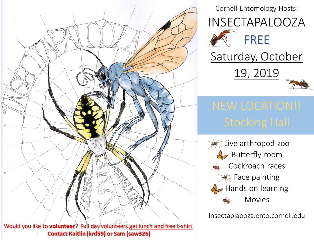 jacobgorneau's tweet photo. So excited for @cornellento’s #Insectapalooza2019 in a little under a month!! Be sure to save the date (Saturday, October 19, 9 am to 5 pm) and join us at Stocking Hall for this free and fantastic ento-loaded event!! #cornellevents #cornell #ithaca #ithacaevents https://t.co/ON6B2BGiNN
