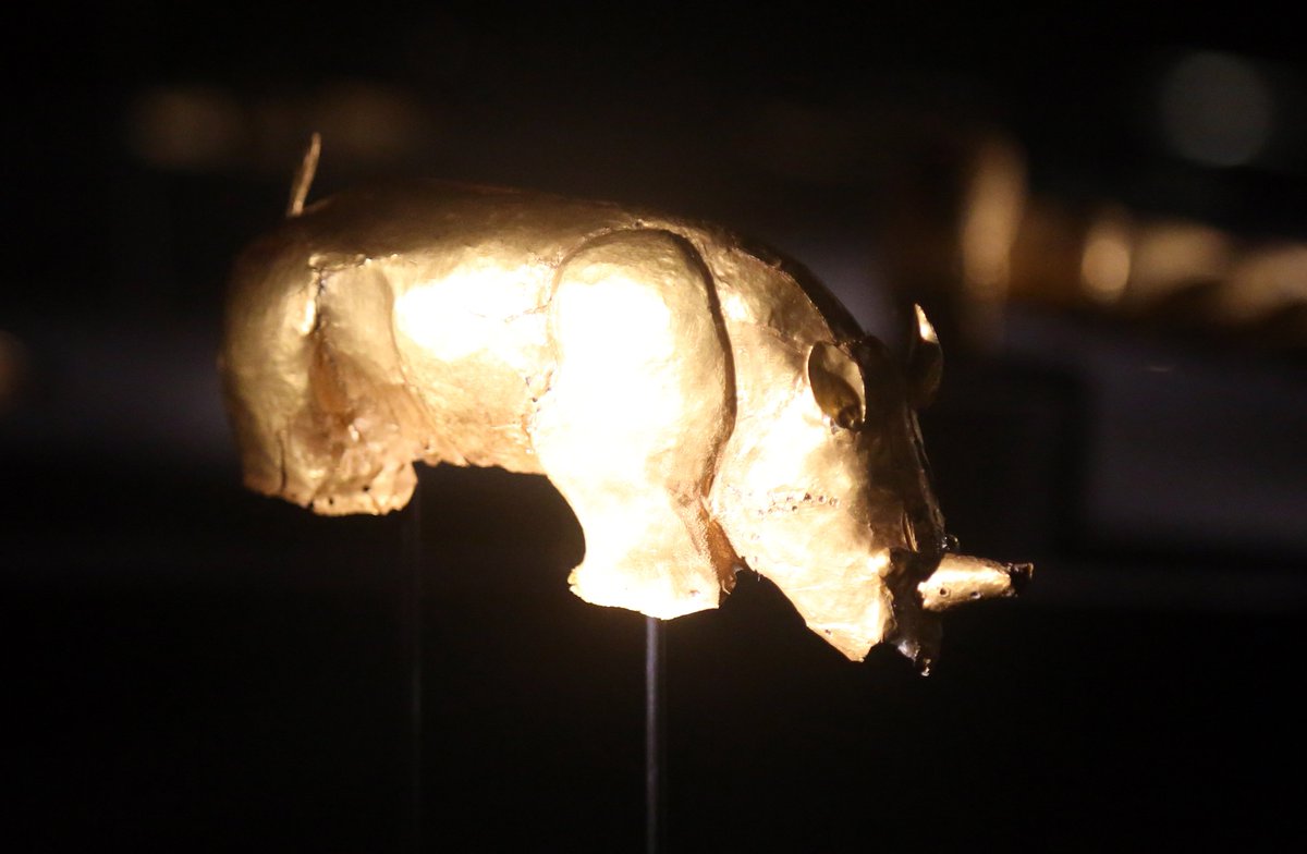 taraturk1's tweet photo. Get to the new @JavettUP in Pretoria @UPTuks - it's an exceptional new heritage institution housing the art of Africa (including the magnificent Mapungubwe gold collection) and it's free this week! #HeritageDay #MyAfricaOurArt #JavettUP https://t.co/dgvstbV6PQ