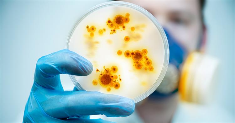 csginc11's tweet image. Schools are well known for their ability to spread germs and illnesses. However, with the right tech it can be easier than ever to rid the facility of germs. Read on: bit.ly/302So75 #facman