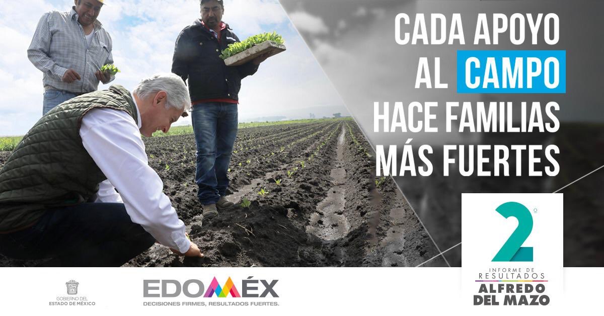 MinervaEsSo's tweet photo. #2doInformeEdoméx con nuestro Gobernador @alfredodelmazo lograremos un Desarrollo Rural más fuerte @SEDAGROedomex @Edomex #cadavezmásfuertes #ResultadosDelMazo #CampoFuerte #YoEstoyConMiGobernador https://t.co/CLJqqneLIt