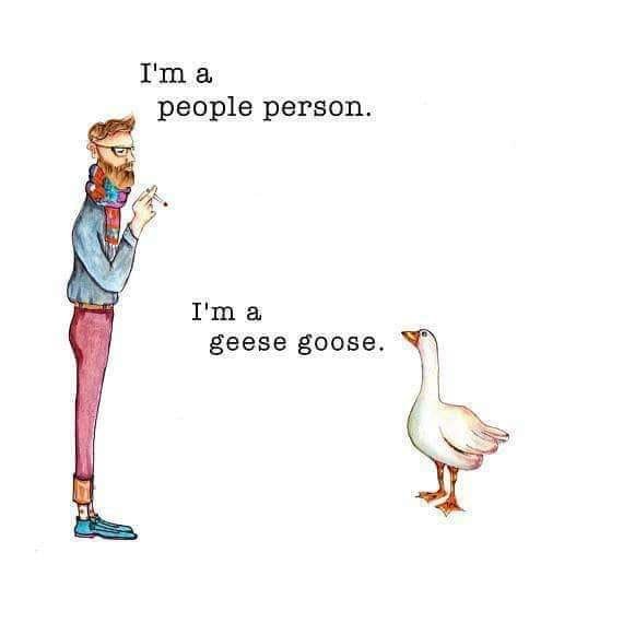 Rasmus Künstlicher tweet media