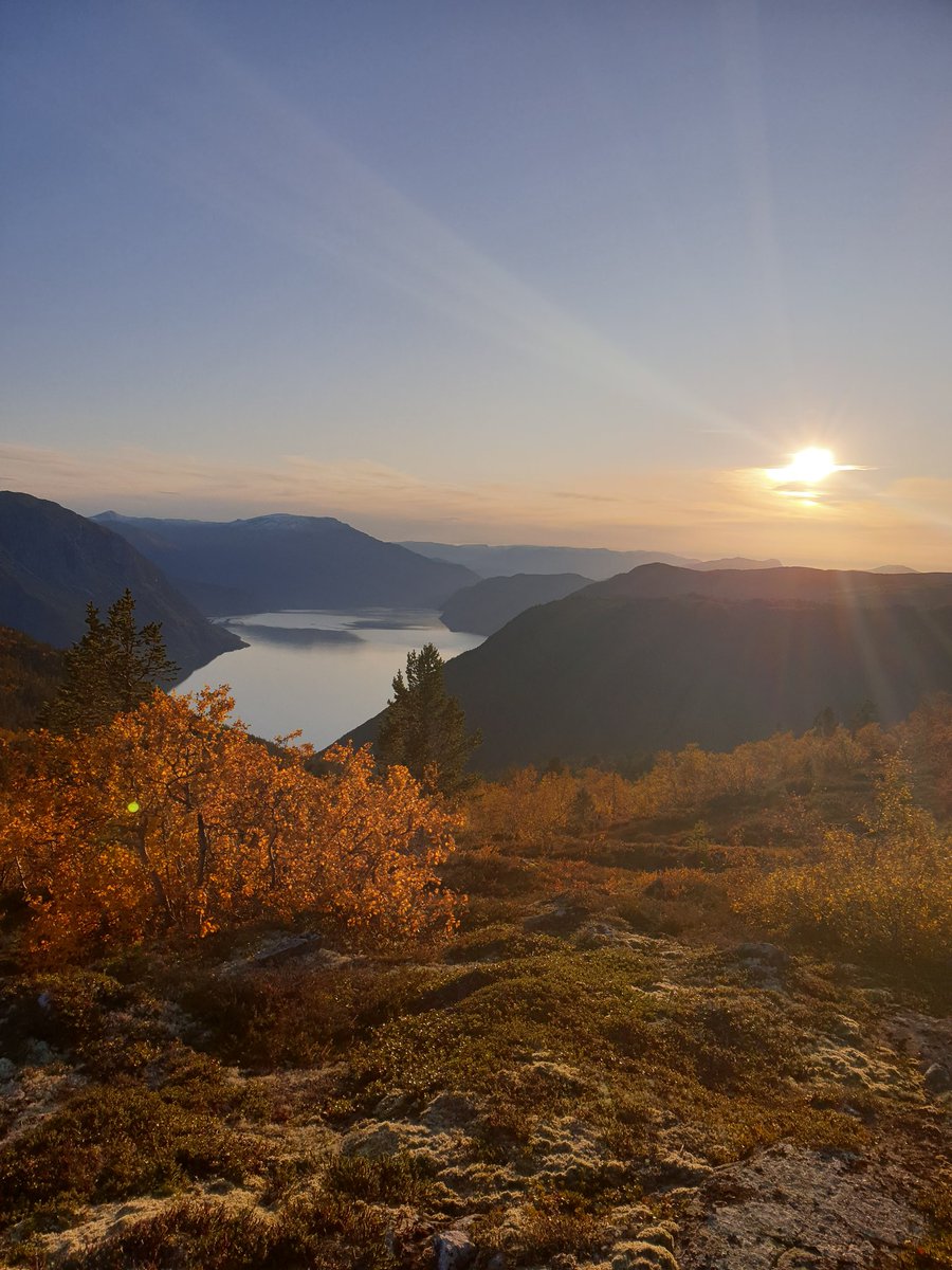 Current status #Norway #deerhunting