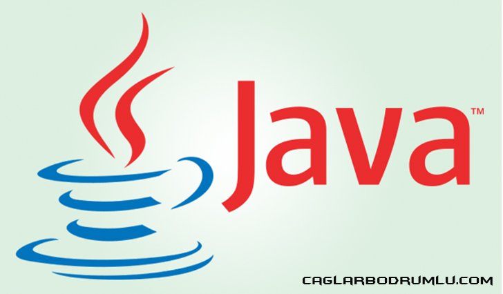 Java bite. Java 2025. java 25. java южноуральске. mukammal son java.