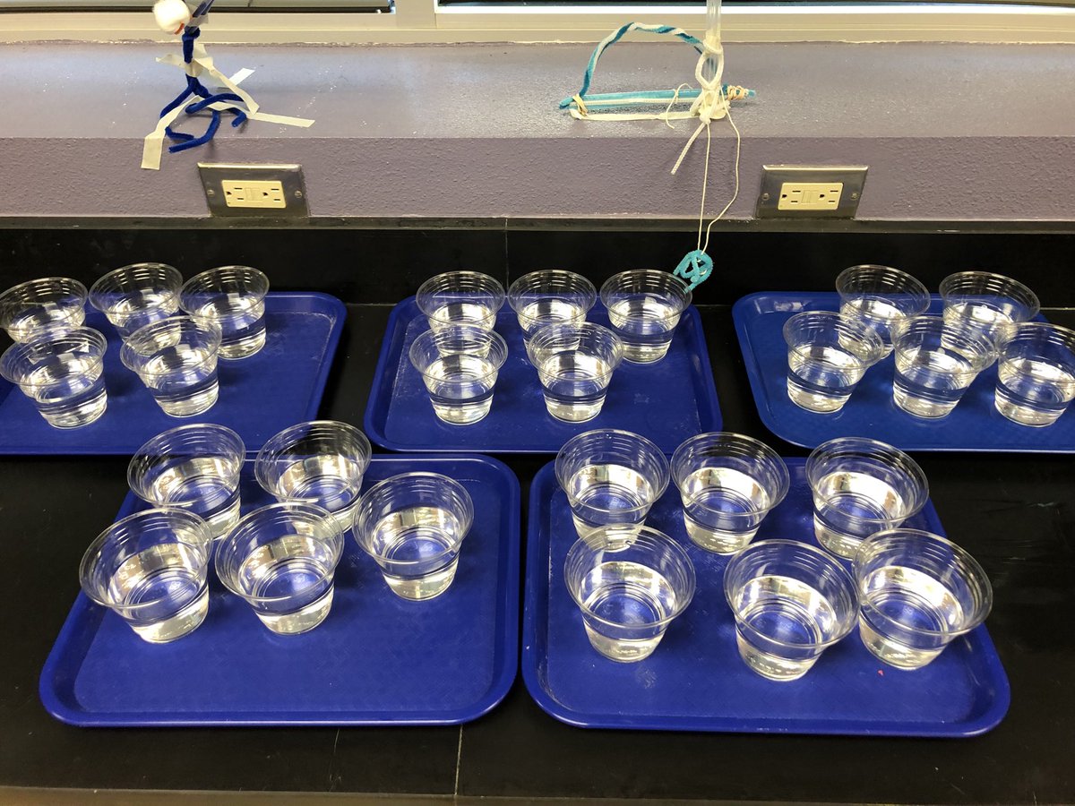 LWilliams_BES's tweet image. Preparing for a lab earlier today! #Mixtures #Solutions #RelativeDensity #JPB2020 #TeamSISD